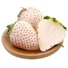 彩虹田奶油白草莓种子150粒