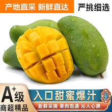 集年鲜 大青芒果 现摘整箱 5斤含箱大果（单果200g起)