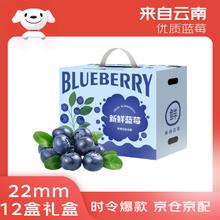 京鲜生 云南蓝莓22mm+巨无霸果 12盒礼盒装 净重125g/盒 生鲜水果