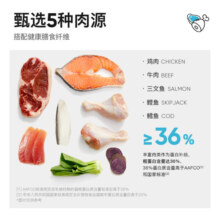 lorde里兜 成猫冻干猫粮 全价蓝猫英短布偶通用粮主食鳕鱼肉松味 冻干成猫粮2kgx2袋