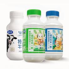 夏进 风味牛奶 多口味组合 243ml*3瓶