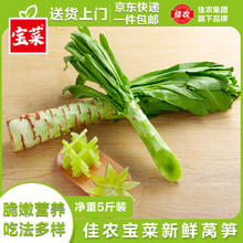 佳农 山东新鲜莴笋脆嫩营养 净重5斤