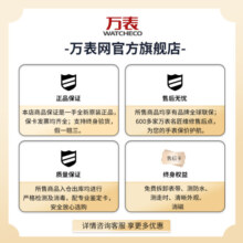 爱宝时（EPOS）万表瑞士手表男商务休闲镂空手动机械男士皮带限量888枚 3435.313.20.26.25