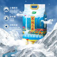 十月稻田 SHI YUE DAO TIAN 寒地之最 生态长粒香米 5kg
