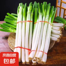 山东正宗铁杆大葱特级便宜新鲜蔬菜基地源头直发清仓交个朋友 净葱去皮去半叶 2斤 净重
