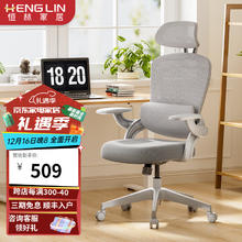 恒林家居 HENGLIN 恒林逆袭者人体工学椅家用电脑椅分区撑腰护脊舒适久办公转椅HLC-3789 灰色