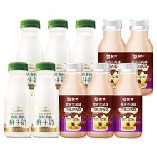 每日鲜语 中国大陆 高钙有机牛奶+巧克力奶 250ml*10瓶