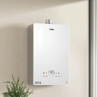 海尔 Haier JSQ31-16KE5FXPGU1 强排式燃气热水器 16L