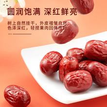 十月稻田 SHI YUE DAO TIAN 新疆灰枣