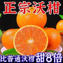 优品拉 云南高原沃柑当季新鲜水果现摘现发产地直发