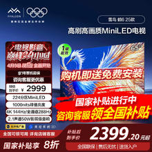 雷鸟 鹤6 25款 65S595C MiniLED智能游戏平板电视 65英寸