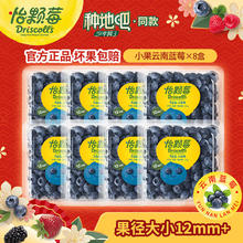 Driscoll's 怡颗莓 【超值限定】当季云南蓝莓 蓝莓小果125g*8盒