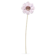 施华洛世奇 GARDEN TALES 精致波斯菊摆件券后79元
