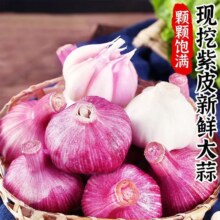 京东买菜云南新鲜当季现挖大蒜 2斤