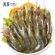 万景 国产活冻白虾 净重1KG