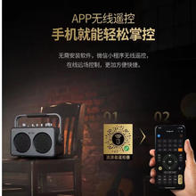 不见不散 流浪者S1户外K歌便携直播内录音响电吹管吉他电子琴乐器音响露营聚会手提音箱 S1红(单麦版) 大礼包
