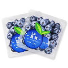 陇百味 云南蓝莓 4盒*100g（单果15mm+）