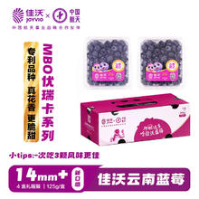 佳沃 蓝莓 单果果径14mm+ 125g 礼盒装