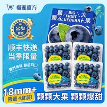 1 云南花香蓝莓王特大果 18mm+ 6盒礼盒装 4盒装 100-125g/盒 JD顺丰隔日达