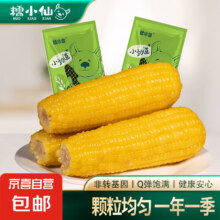糯小仙 精品黄糯玉米 真空包装 加热即食糯玉米早餐代餐 黄糯220g*3根（1.32斤）