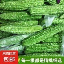 京喜加 山东新鲜苦瓜 2斤