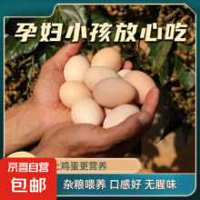 京喜自营 土鸡蛋枚无抗散养草鸡蛋 10枚 精选45g-49g/枚 约500g