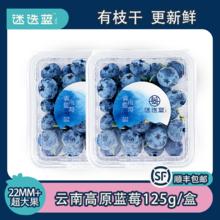 SIERRA BLUE 迷迭蓝 云南蓝莓 巨无霸22mm及以上 4盒