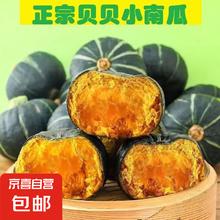 贝贝南瓜 加惠 1号贝贝南瓜 板栗味南瓜 500g 带箱