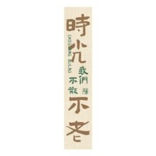 需换购：露营氛围书法挂布长条拍照背景布 时光不老 宽30x高100cm