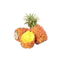 25日0点！徽六 一级浓香祁门红茶 120g
