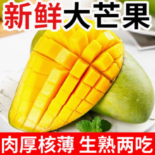 某宝买菜农场直发！ 越南玉芒青芒果 5斤/单果200g+