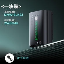 绿巨能 DMW-BLK22数码相机电池直充极光电池适用松下DC-S5 S5K GH6 GH5M2单反LUMIX S5配件Panasonic直充座充
