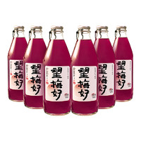 好望水 果汁望梅好气泡水饮料 300ml*6瓶