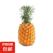 徐闻香水菠萝 带箱2斤 （净重1.3-2斤） 1个
