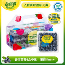 怡颗莓 当季云南蓝莓 14mm+ 6盒礼盒装 125g/盒