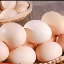无抗鲜鸡蛋 谷物喂养鲜鸡蛋 单枚50g-60g 早餐食材 蛋香味十足 10枚装