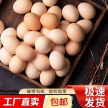 京喜 谷物鲜鸡蛋 40g/枚*15枚