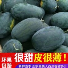 正宗广西现摘黑美人西瓜当季黑皮无籽  4斤