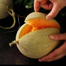 粤迎 西州蜜瓜25号 5斤精选果【阿姨手挑果】净4.5斤