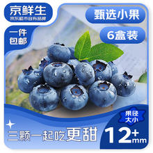 京鲜生 云南蓝莓 125g/盒 6盒装券后31.53元