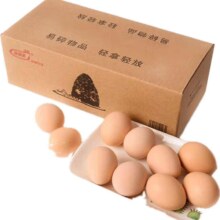 谷俱来 散养土鸡蛋单枚40g-45g *10枚