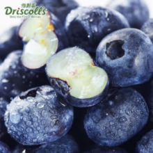 Driscoll's 怡颗莓 国产云南蓝莓 125g*8盒