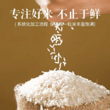 家宴香当季新米芦花荡大米丝苗米 当季丝苗米500g*1袋