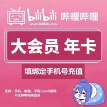 哔哩哔哩 bilibili 大会员12个月