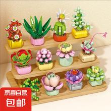 京喜自营-专用品牌 LEGO 乐高 8938 多肉盆栽积木 小颗粒拼装摆件玩具（随机1盒）