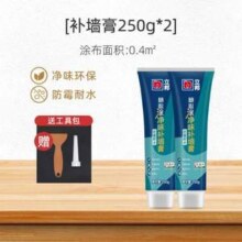 Nippon 立邦 随心涂净味补墙膏250g