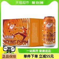 阳春 精酿小麦啤酒 500ml*12罐