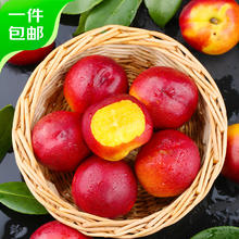 京鲜生 国产黄肉红油桃 3斤 单果60g