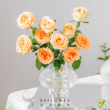 花点时间（Reflower）玫瑰花康乃馨百合鲜花云南昆明基源头直发睡莲剑兰向日葵鲜切花 【单头40cm玫瑰】单色随机10枝