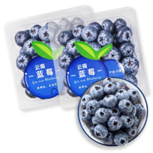 陇百味 云南蓝莓  2盒 100g 12mm+